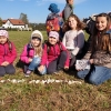 Biodiversitätstag